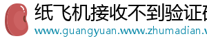 纸飞机接收不到验证码